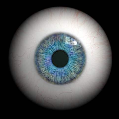 Eyeball