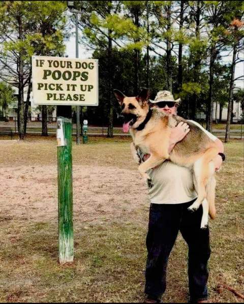 Funny Dog photo