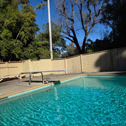 The pool