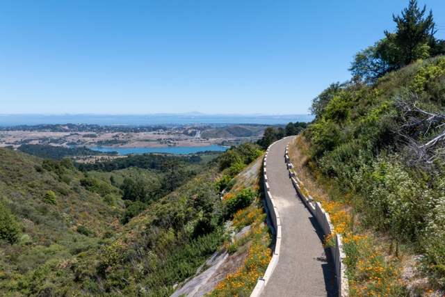 Skyline Watershed Ridge Trail