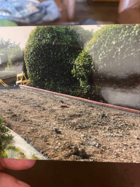 Hedge